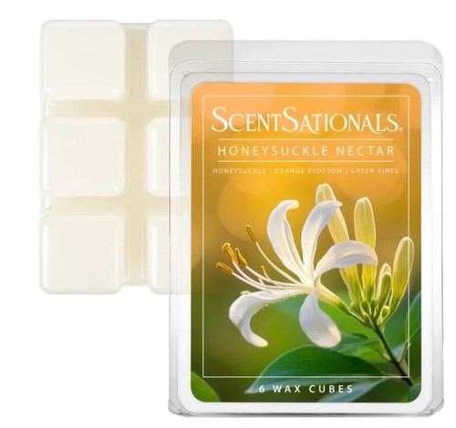 Scentsationals wax melts - scentsationals, 6