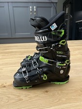 Dalebllo Panterra 100 - ski