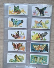 A Full set of 50 cards