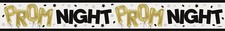 PROM Night Party Banner