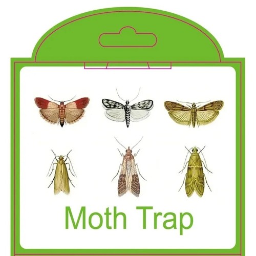 Pheromone moth traps sticky - traps,