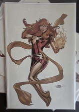 Pheonix Resurrection #1 Terry