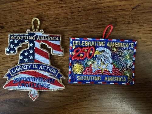Scouting america celebrates - scouting,