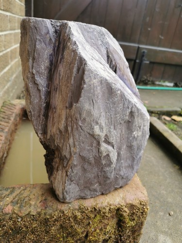 Plum slate boulder - plum, water