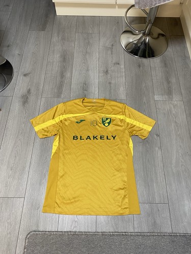 Norwich city match worn matěj - city,