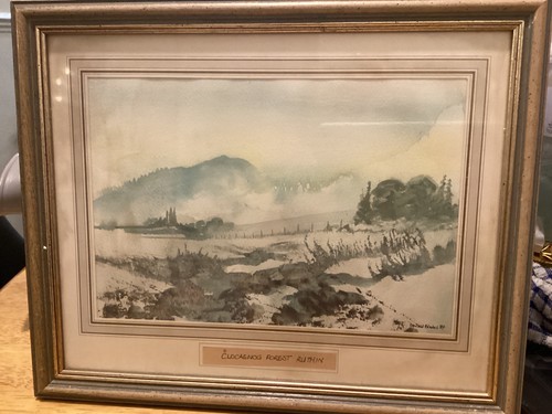 Donald blades water colour - donald,