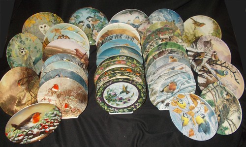 Owl bird theme plates by - theme,