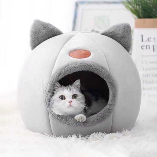 Cozy cave cat - cat, winter