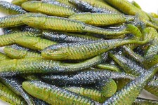 5" Sunfish Paddle Tail