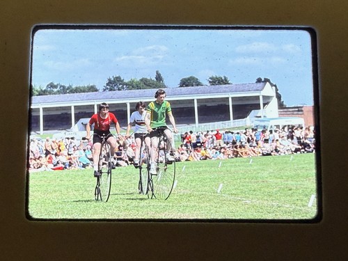 Penny farthing racing - penny-farthing, cycling