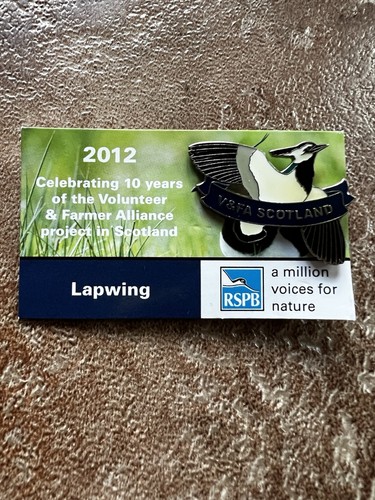 Lapwing volunteer and - lapwing,