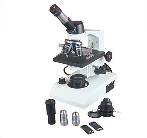 Radical 1500x professional - radical,