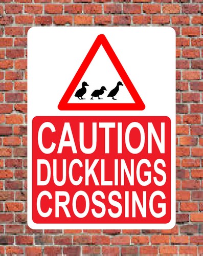 Caution ducklings crossing - caution,