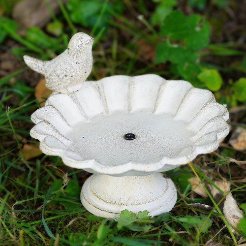 Cast iron bird - iron, bath