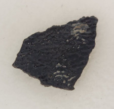 Hadrosaur Egg Shell Fossil -