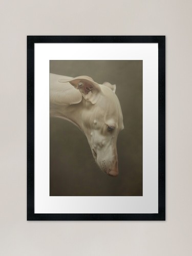 Loyal whippet framed art - whippet, print