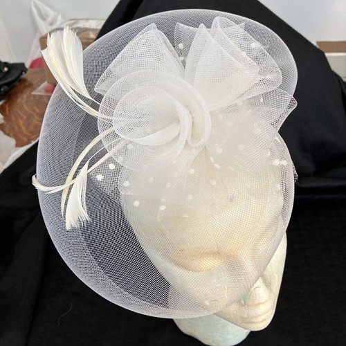 Women tulle and - and, feathers