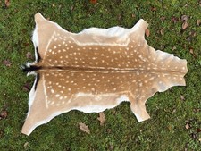 Nice New Real Summer Fallow