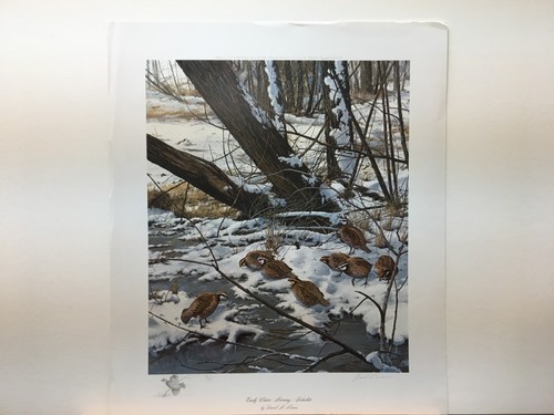 David maass early - david,