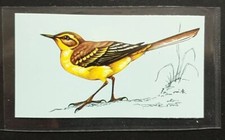 TETLEY (TEA CARD)-BRITISH