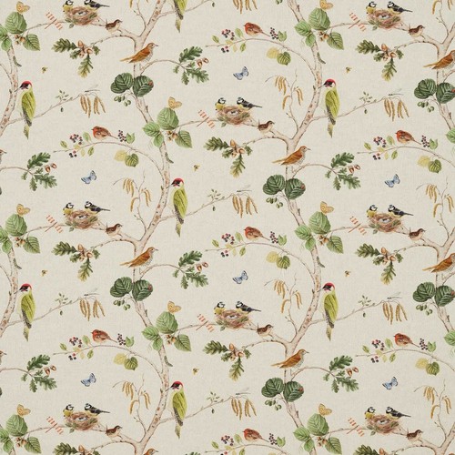 Sanderson woodland chorus - sanderson,