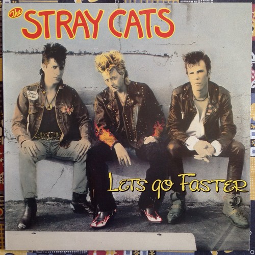 Stray cats let go - cats, let's