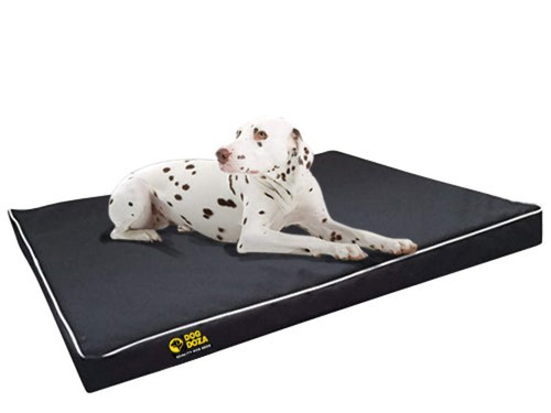 Dog doza snooza crash - doza,