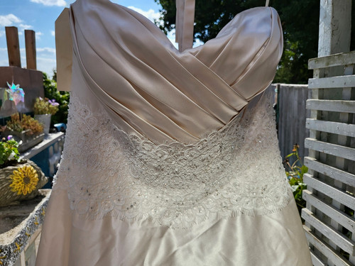 Pronovius 000 line - pronovius,