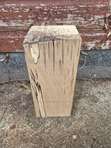 Spalted beech block spindle - beech,