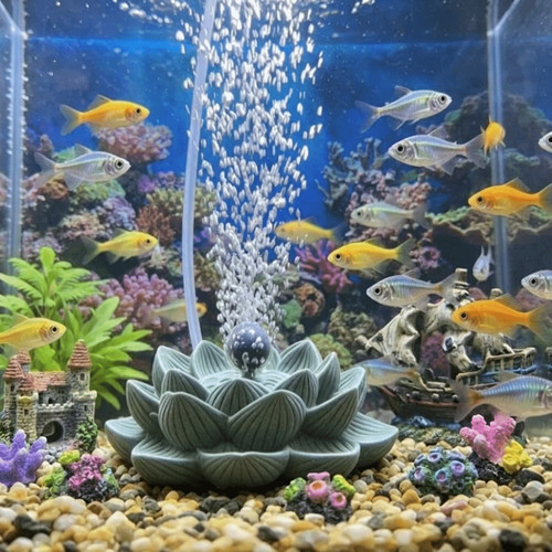 Aquarium air bubble - aquarium,
