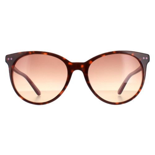 Calvin klein sunglasses - calvin,