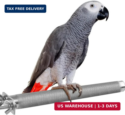 Bird perch stainless steel - bird, perch-stainless
