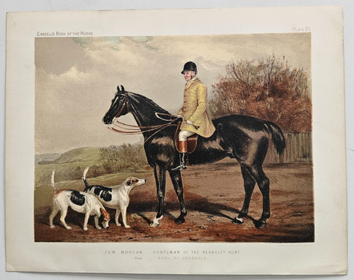 1876 antique fox hunting horse - fox,