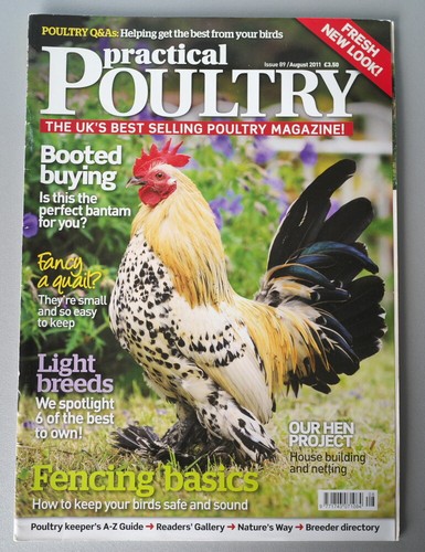 Practical poultry chickens - practical,