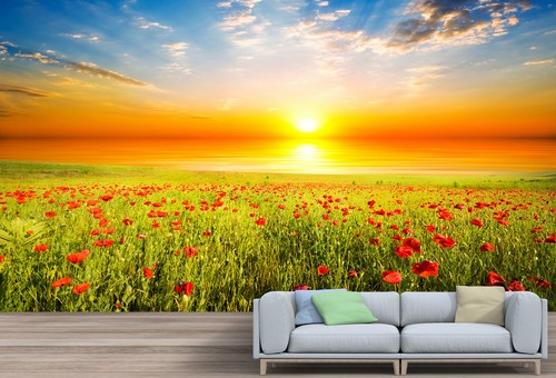 Red poppies sunset wallpaper - sunset,