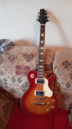 Samick greg bennet electric - greg,