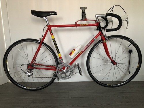 Raleigh team replica - raleigh,