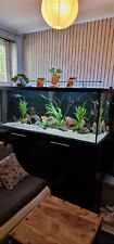 5ftx2ftx2ft 550 Liter Fishtank and stand plus more