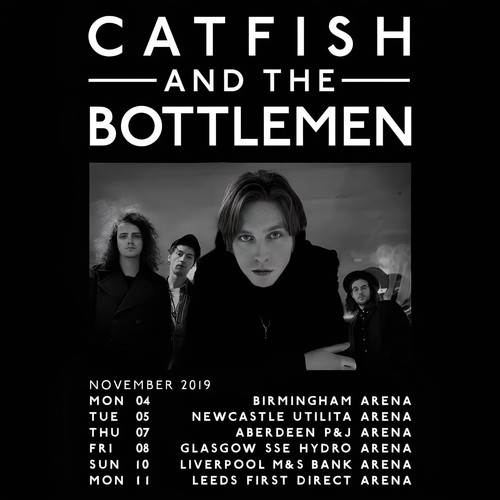 Catfish and the bottlemen - bottlemen, 2019