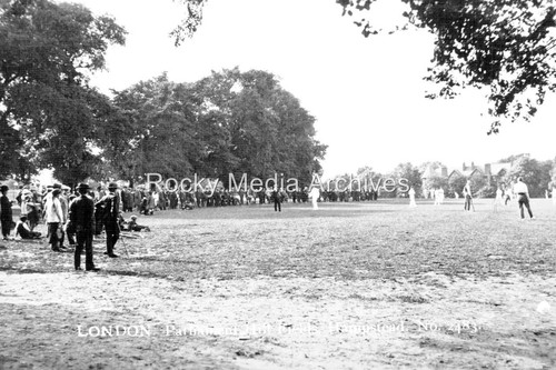 Twt cricket parliament - twt-50,