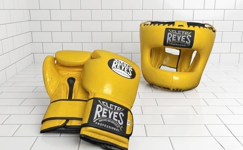 Mma reyes boxing kit - reyes, gloves