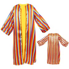 TECHNICOLOUR DREAMCOAT FANCY