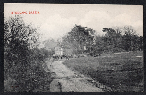 Postcard studland green - postcard,
