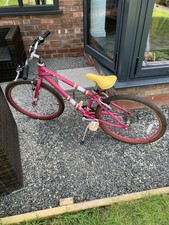 Raleigh Pop 24” Girls Bike