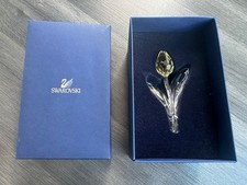 Swarovski Crystal SCS Renewal
