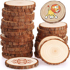 40Pcs Wooden Slices Wood for