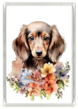 DACHSHUND BEAUTIFUL LONG HAIRED DOG  ART PRINT NOVELTY FRIDGE MAGNET GREAT GIFT
