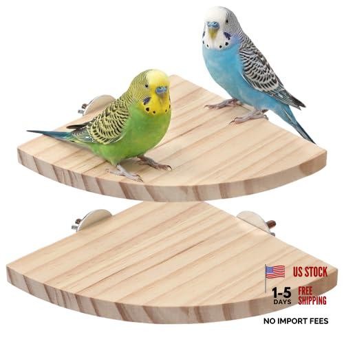 Wood flat perches for bird - perches,
