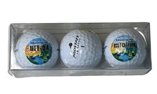 Wilson ProStaff X2 Boost 1