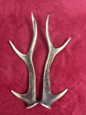 PAIR OF SIKA DEER ANTLERS
